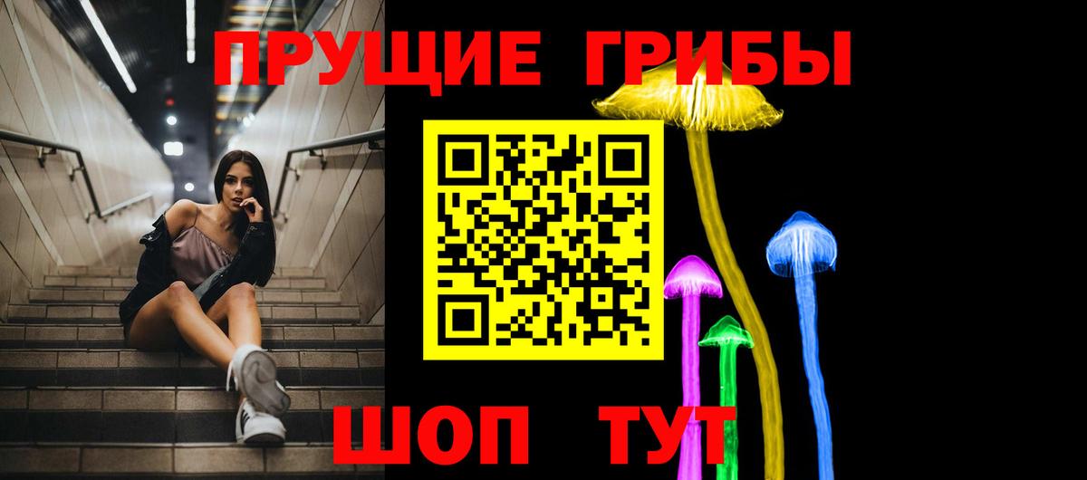 Псилоцибиновые грибы мицелий  Вход с VPN  Алексеевка 